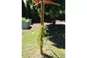 1419 T St, Springfield, OR 97477 - Photo 24
