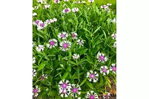 212 NW 5th Ave, John Day, OR 97845 - Photo 22