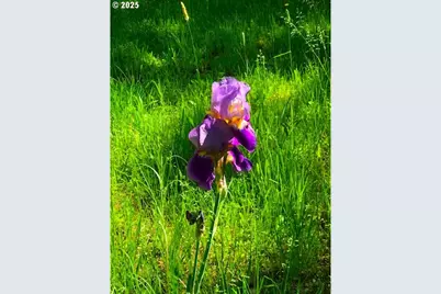 212 NW 5th Ave, John Day, OR 97845 - Photo 30