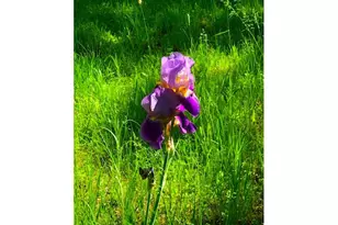 212 NW 5th Ave, John Day, OR 97845 - Photo 30