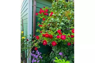 212 NW 5th Ave, John Day, OR 97845 - Photo 34