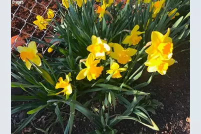 212 NW 5th Ave, John Day, OR 97845 - Photo 26