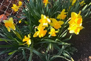 212 NW 5th Ave, John Day, OR 97845 - Photo 26