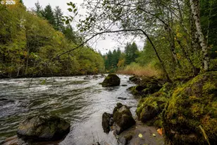 69437 E Vine Maple Dr, Mount Hood Village, OR 97049 - Photo 40