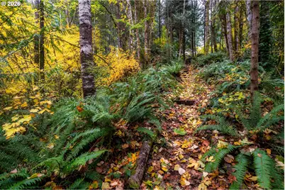 69437 E Vine Maple Dr, Mount Hood Village, OR 97049 - Photo 44