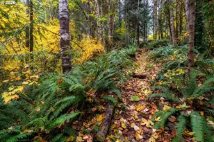 69437 E Vine Maple Dr, Mount Hood Village, OR 97049 - Photo 44