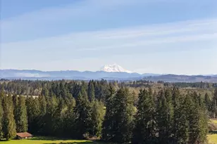 295 Kangas Rd, Toledo, WA 98591 - Photo 46