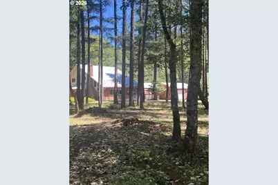 2300 Thompson Creek Rd, Selma, OR 97538 - Photo 2
