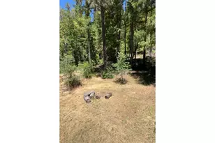 2300 Thompson Creek Rd, Selma, OR 97538 - Photo 16