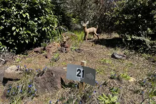 1600 Rhododendron Dr, Florence, OR 97439 - Photo 42