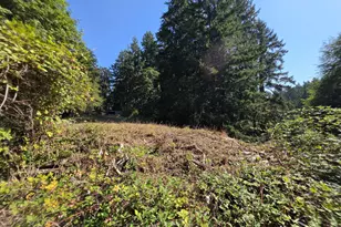 4295 SW Homesteader Rd, Wilsonville, OR 97070 - Photo 22