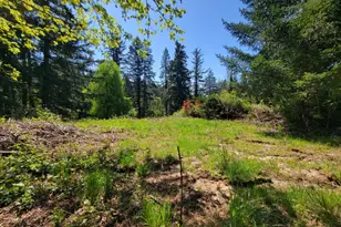 4295 SW Homesteader Rd, Wilsonville, OR 97070 - Photo 10