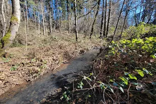 4295 SW Homesteader Rd, Wilsonville, OR 97070 - Photo 16