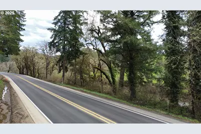 State Highway 38, Drain, OR 97435 - Photo 16