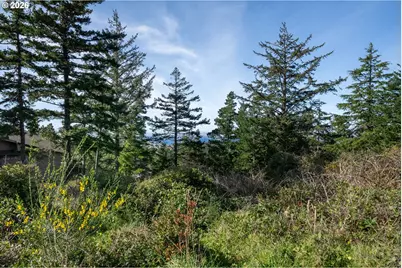 Highland Dr #TL 600, Oceanside, OR 97134 - Photo 10