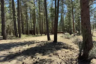 15651 Marcee Way, Chiloquin, OR 97624 - Photo 8