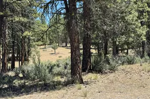 15651 Marcee Way, Chiloquin, OR 97624 - Photo 46