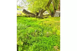 250 E 2nd St, Long Creek, OR 97856 - Photo 6