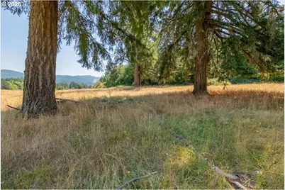 Upper Calapooia Dr, Sweet Home, OR 97386 - Photo 24