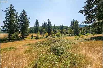 Upper Calapooia Dr, Sweet Home, OR 97386 - Photo 20