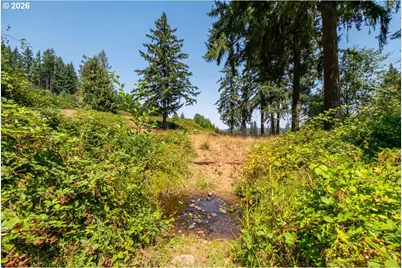 Upper Calapooia Dr, Sweet Home, OR 97386 - Photo 16