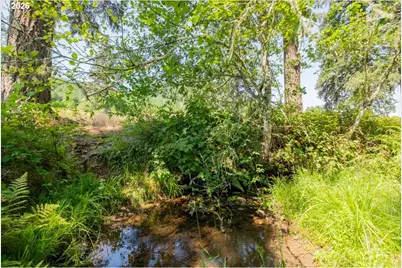 Upper Calapooia Dr, Sweet Home, OR 97386 - Photo 14
