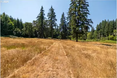 Upper Calapooia Dr, Sweet Home, OR 97386 - Photo 12