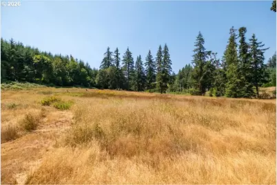 Upper Calapooia Dr, Sweet Home, OR 97386 - Photo 10