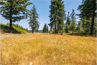 Upper Calapooia Dr, Sweet Home, OR 97386 - Photo 18