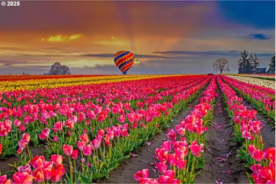 714 Merriott Ln, Woodburn, OR 97071 - Photo 26