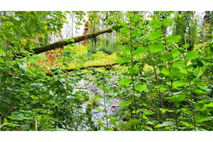 82147 Lost Valley Ln, Dexter, OR 97431 - Photo 14