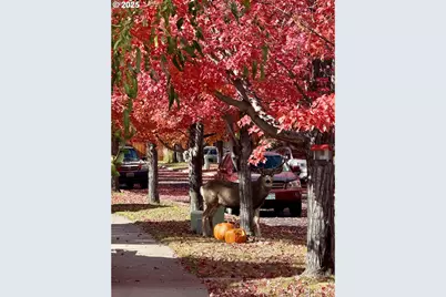 61142 Brookhollow Dr, Bend, OR 97702 - Photo 26