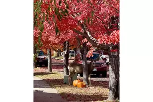 61142 Brookhollow Dr, Bend, OR 97702 - Photo 26