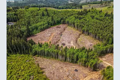 1319 Eufaula Heights Rd, Longview, WA 98632 - Photo 6