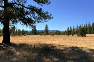 Box Canyon Buckhorn, Goldendale, WA 98620 - Photo 1