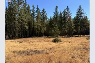 Box Canyon Buckhorn #1, Goldendale, WA 98620 - Photo 8