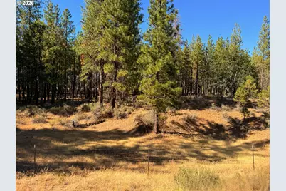 Box Canyon Buckhorn #1, Goldendale, WA 98620 - Photo 18
