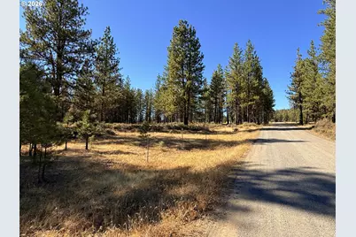 Box Canyon Buckhorn #1, Goldendale, WA 98620 - Photo 12