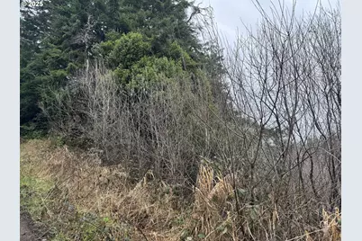 01 Petitt Ln, North Bend, OR 97459 - Photo 12