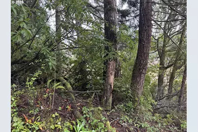 01 Petitt Ln, North Bend, OR 97459 - Photo 8