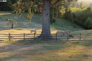 6905 NE Highland Rd, Otis, OR 97368 - Photo 6