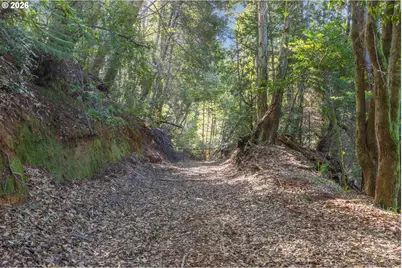 95300 Grassy Knob Rd, Sixes, OR 97476 - Photo 14