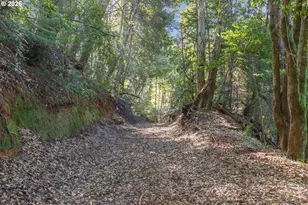 95300 Grassy Knob Rd, Sixes, OR 97476 - Photo 14