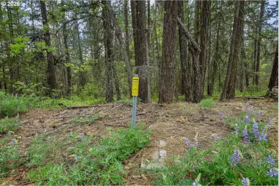 Nka Forest Glen Dr #37/38, Goldendale, WA 98620 - Photo 6