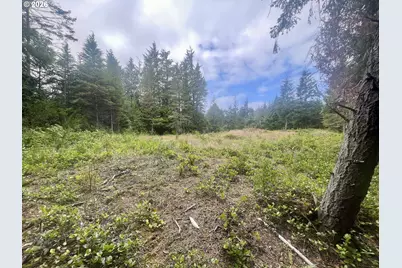 Sandpoint Rd #Lot 11, North Bend, OR 97459 - Photo 30