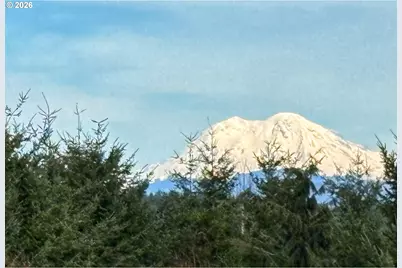 72 Blue Mountain Rd, Castle Rock, WA 98611 - Photo 40