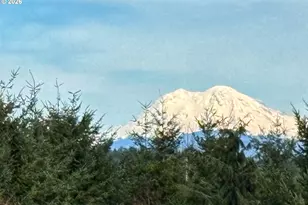 72 Blue Mountain Rd, Castle Rock, WA 98611 - Photo 40