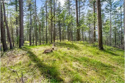 Paradise Ridge Rd, Mosier, OR 97040 - Photo 6