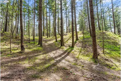 Paradise Ridge Rd, Mosier, OR 97040 - Photo 8