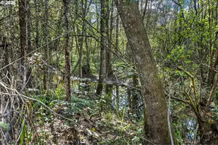 25669 Cochran Ct, Veneta, OR 97487 - Photo 14